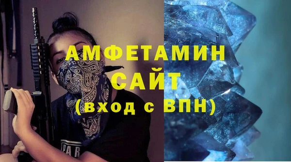 мдпв Гусь-Хрустальный