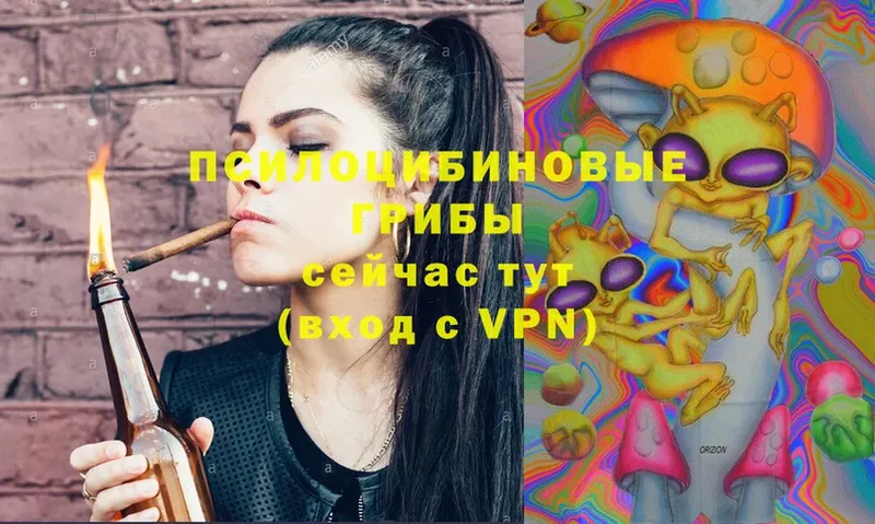 Псилоцибиновые грибы Magic Shrooms Сертолово